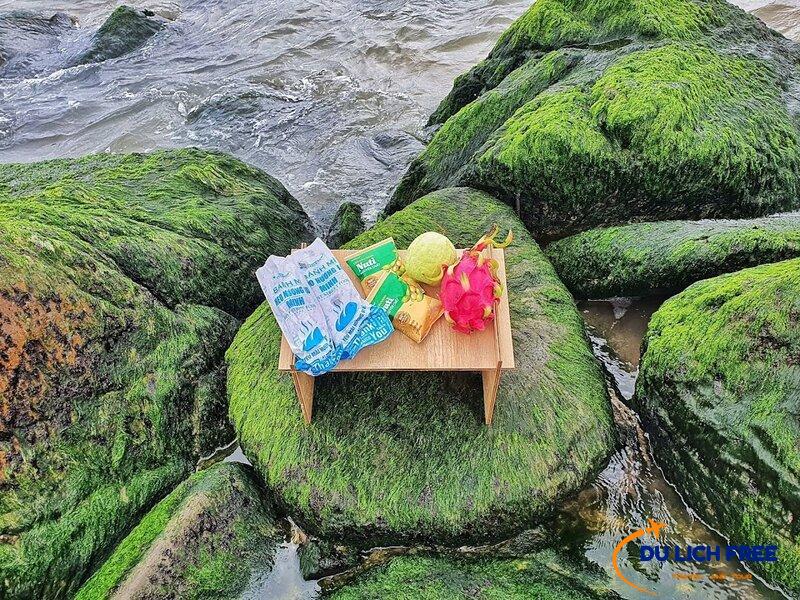 Picnic cùng bạn bè tại bãi rêu