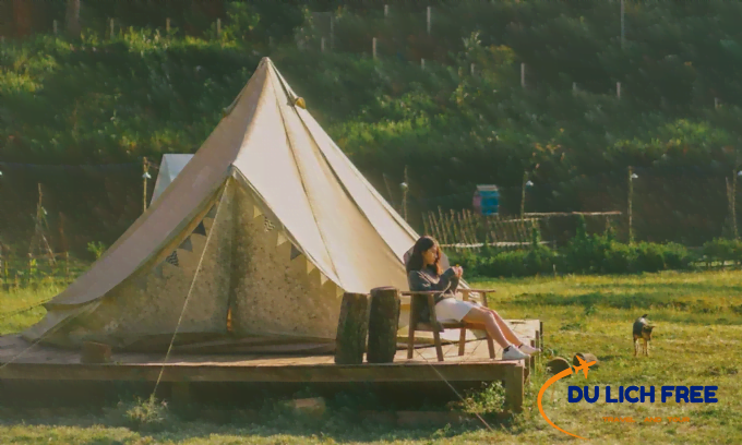 Tổ chức camping tại đồi Thiên An Huế