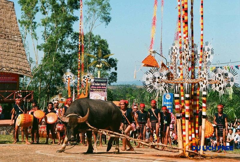 Lễ Hội Đâm Trâu Tây Nguyên