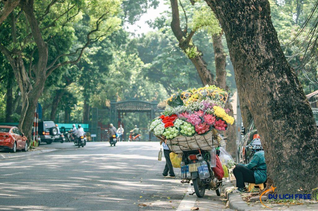 Mùa thu Hà Nội