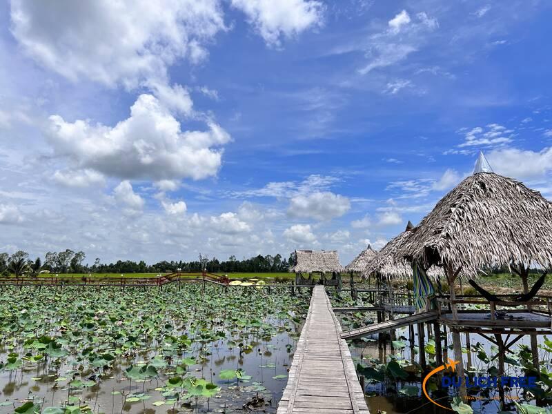 Khu du lịch Đồng Sen Tháp Mười