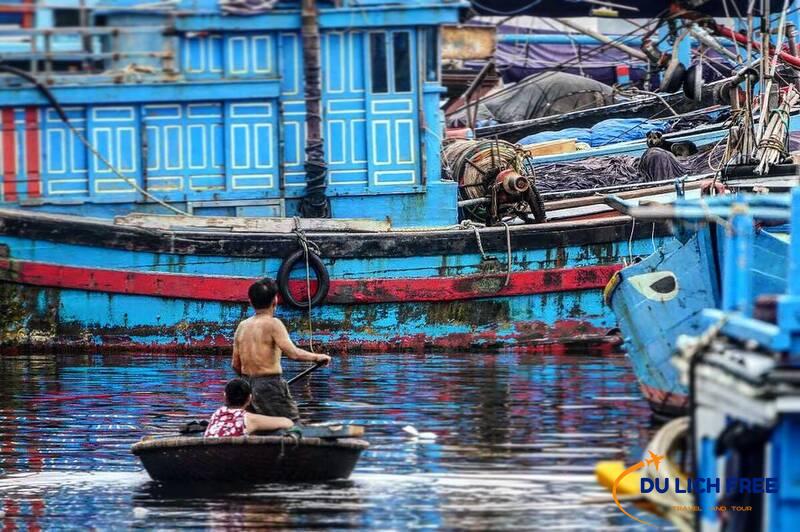 chợ đầu mối thủy sản Thọ Quang Đà Nẵng