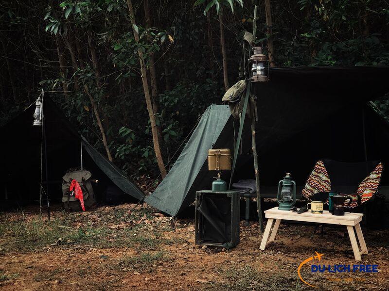 Tổ chức camping, picnic cùng bạn bè và người thân